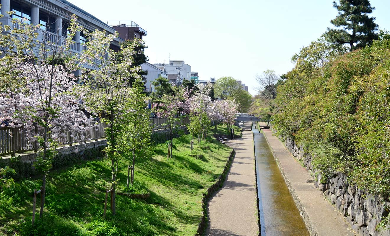 堀川遊歩道